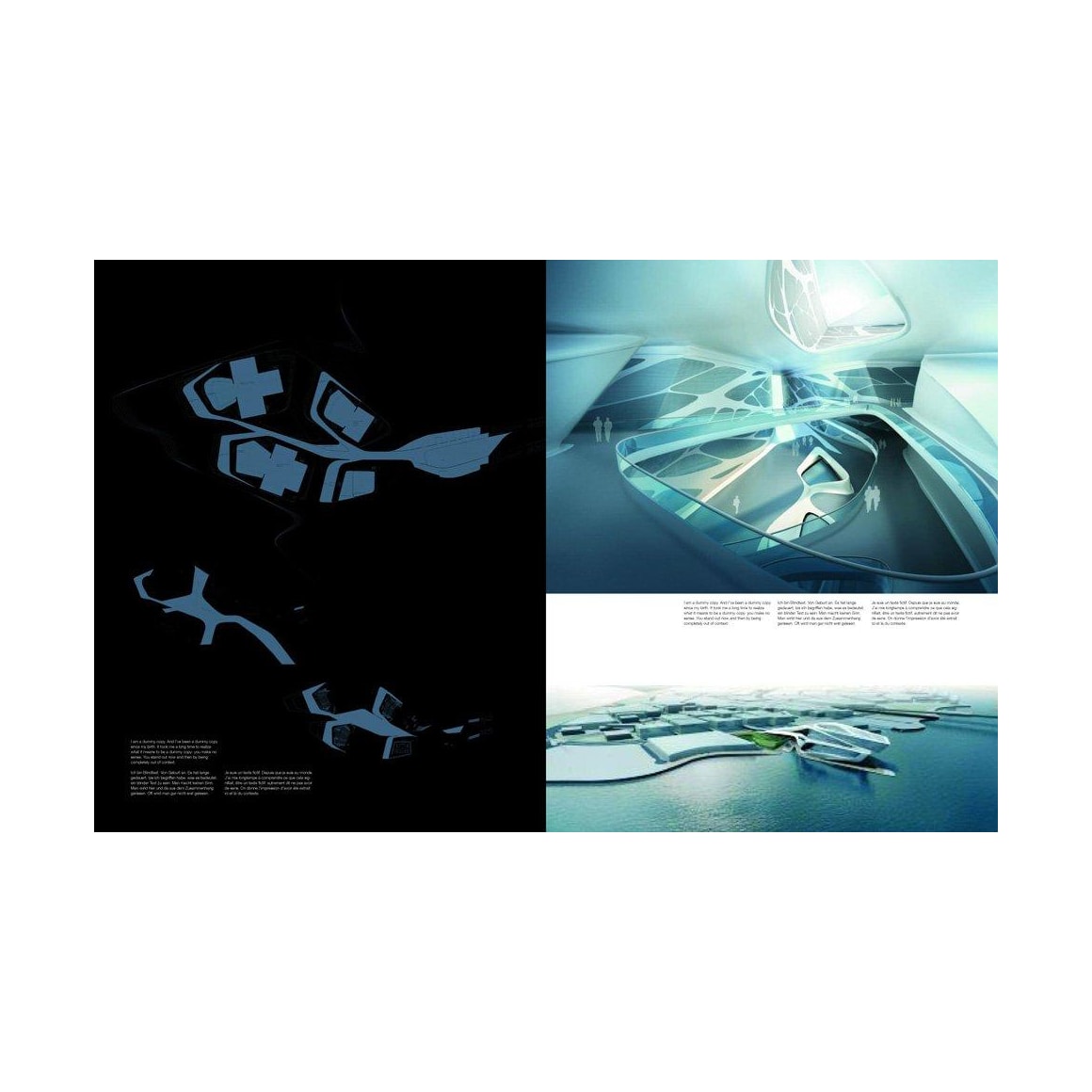 Zaha Hadid. Complete Works 1979–2009. Art Edition (German, French, English) (SA)