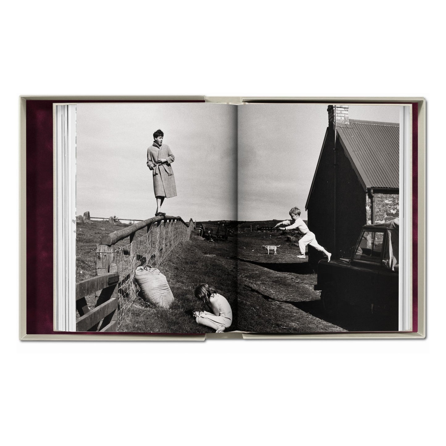 Linda McCartney. Life in Photographs, Art Edition No. 1–125 ‘Horse’ (English) (SA)