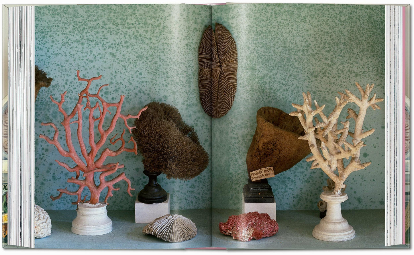 Massimo Listri. Cabinet of Curiosities. 40th Ed. (German, French, English)