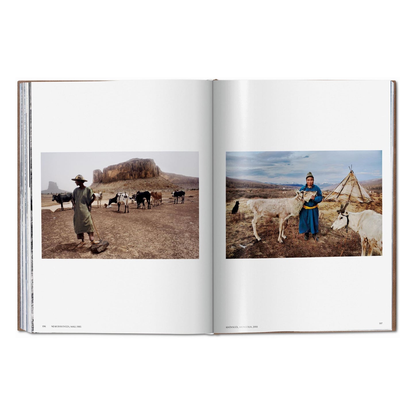 McCurry, Animals, Art B, Chennai (German, French, English) (AP)