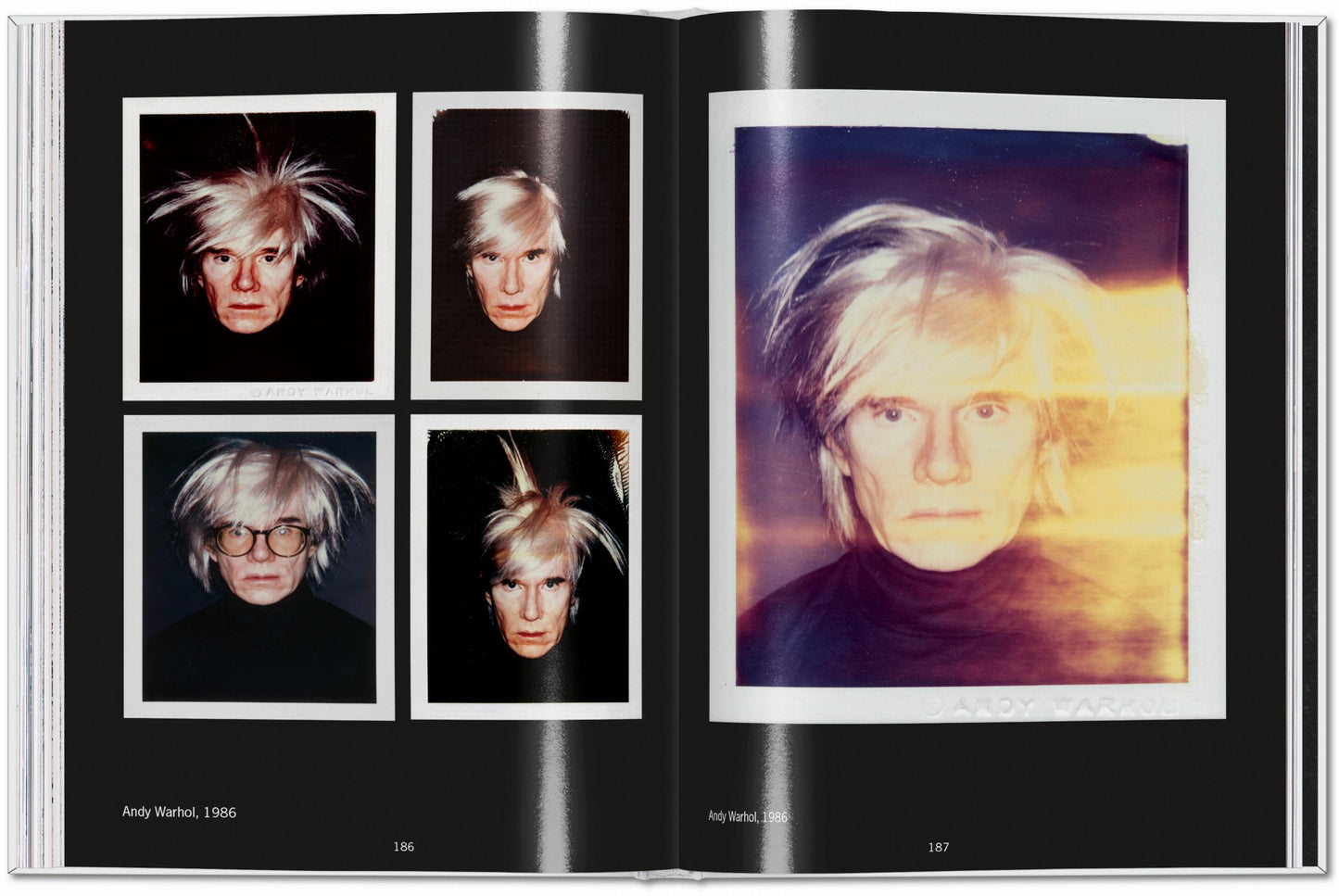 Andy Warhol. Polaroids 1958–1987 (English)