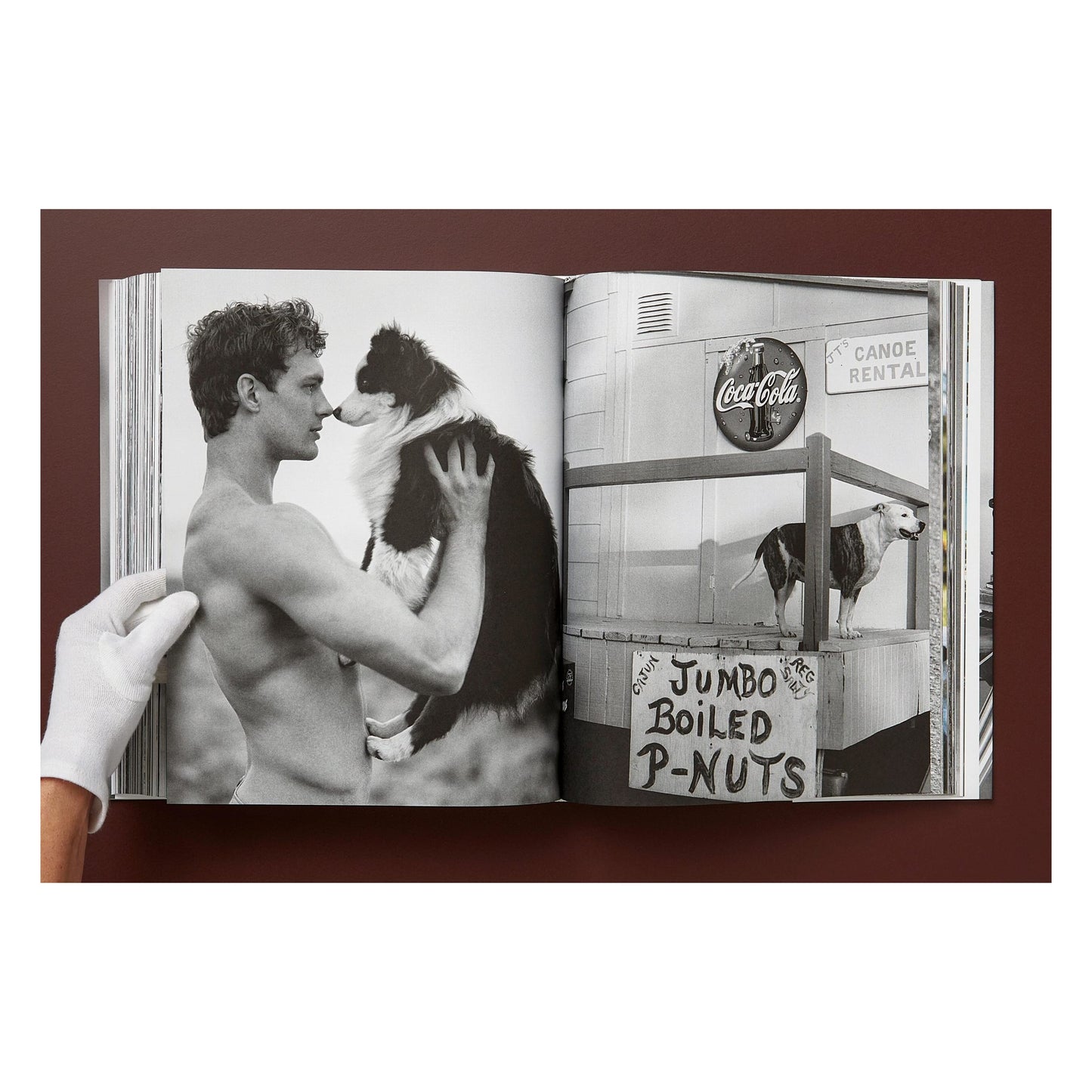 Bruce Weber. The Golden Retriever Photographic Society. Art Edition No. 1–100 ‘Little Bear Ranch, Montana, 1996’ (German, French, English) (AP)