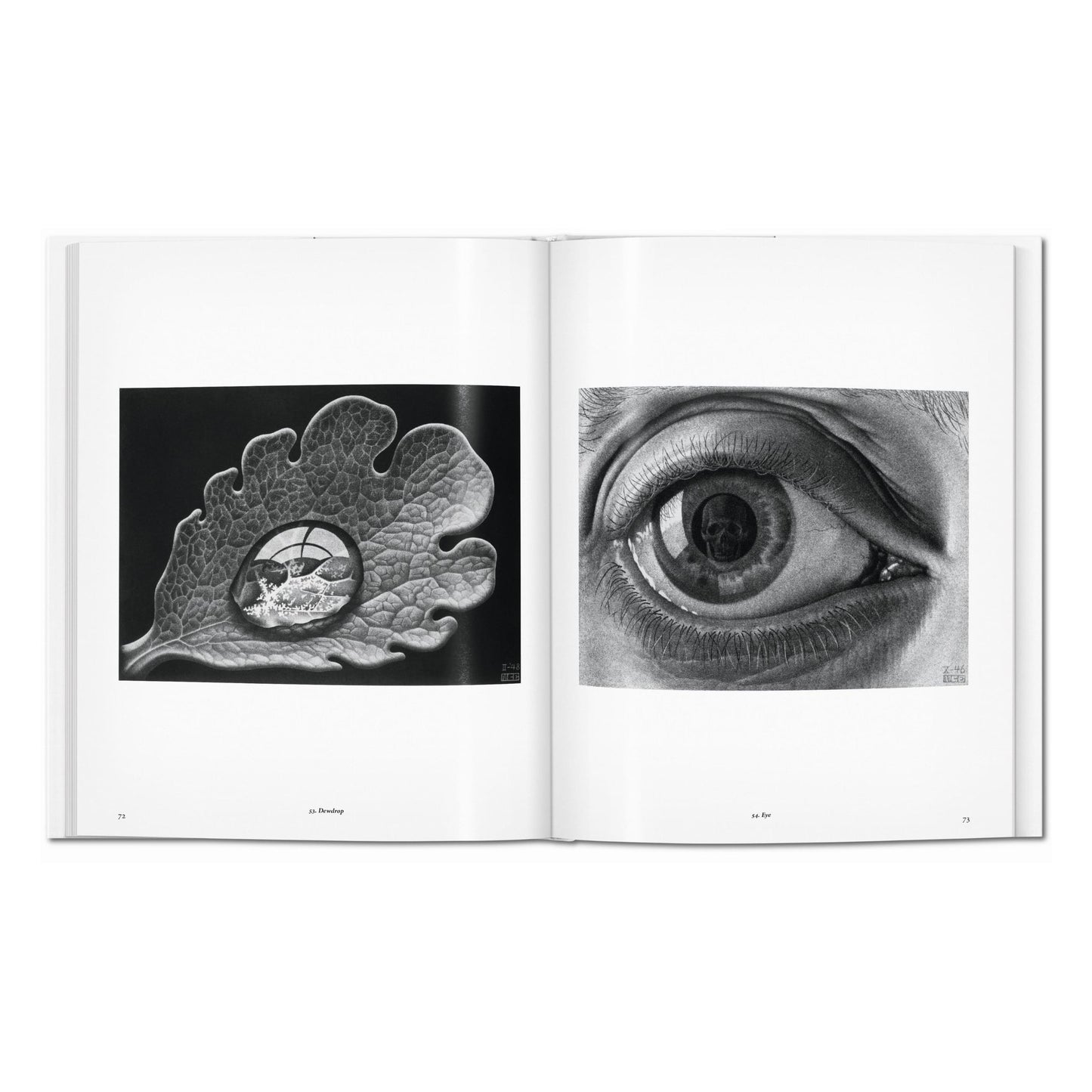 M.C. Escher. The Graphic Work (English)