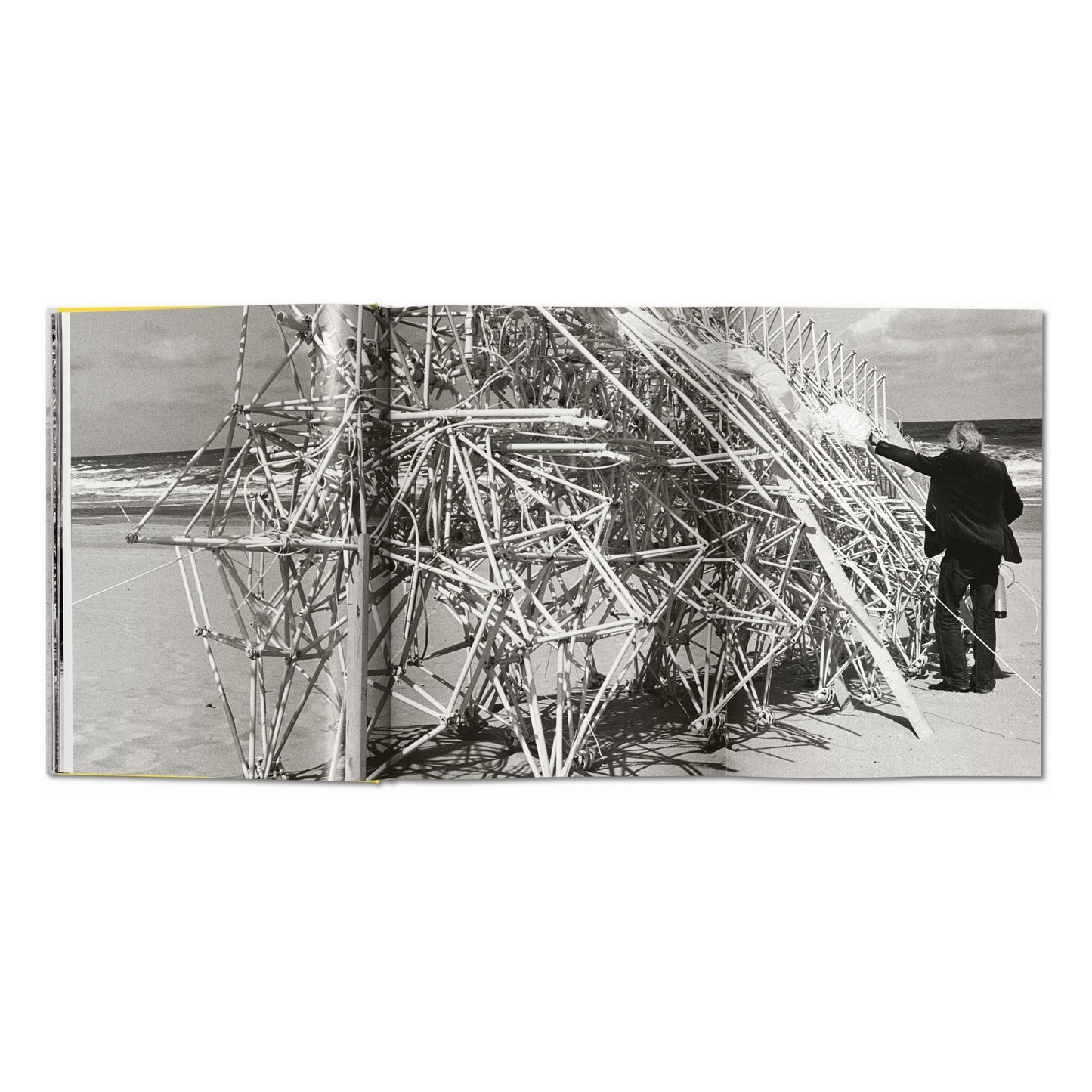 Strandbeest. The Dream Machines of Theo Jansen (German, French, English)