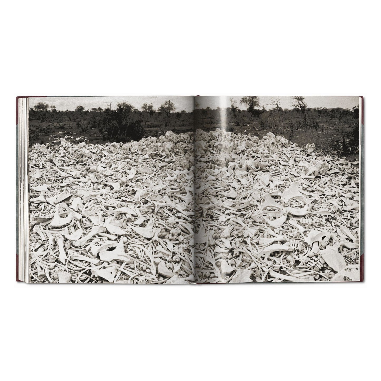 Peter Beard. The End of the Game. Revisited 2020 Edition (English)