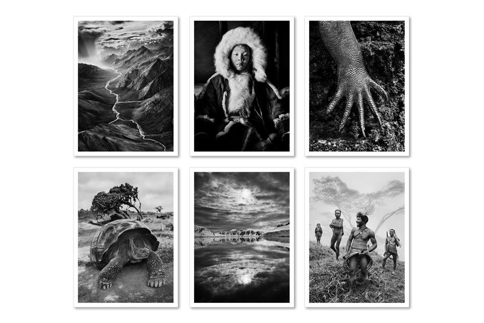 Sebastião Salgado. Genesis. Postcard Set (German, Spanish, French, English)