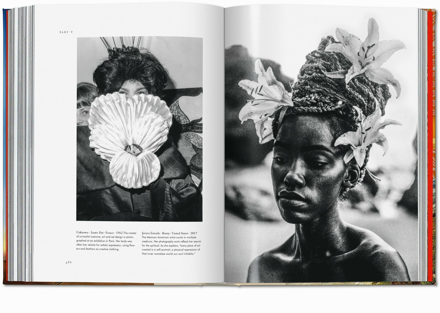 Magie des plantes. La Bibliothèque de l'Ésotérisme (French)