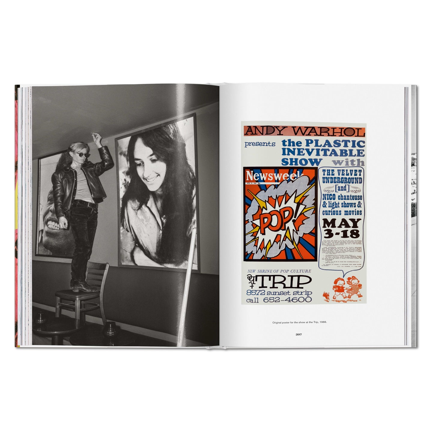 Steve Schapiro. Andy Warhol and Friends (English)