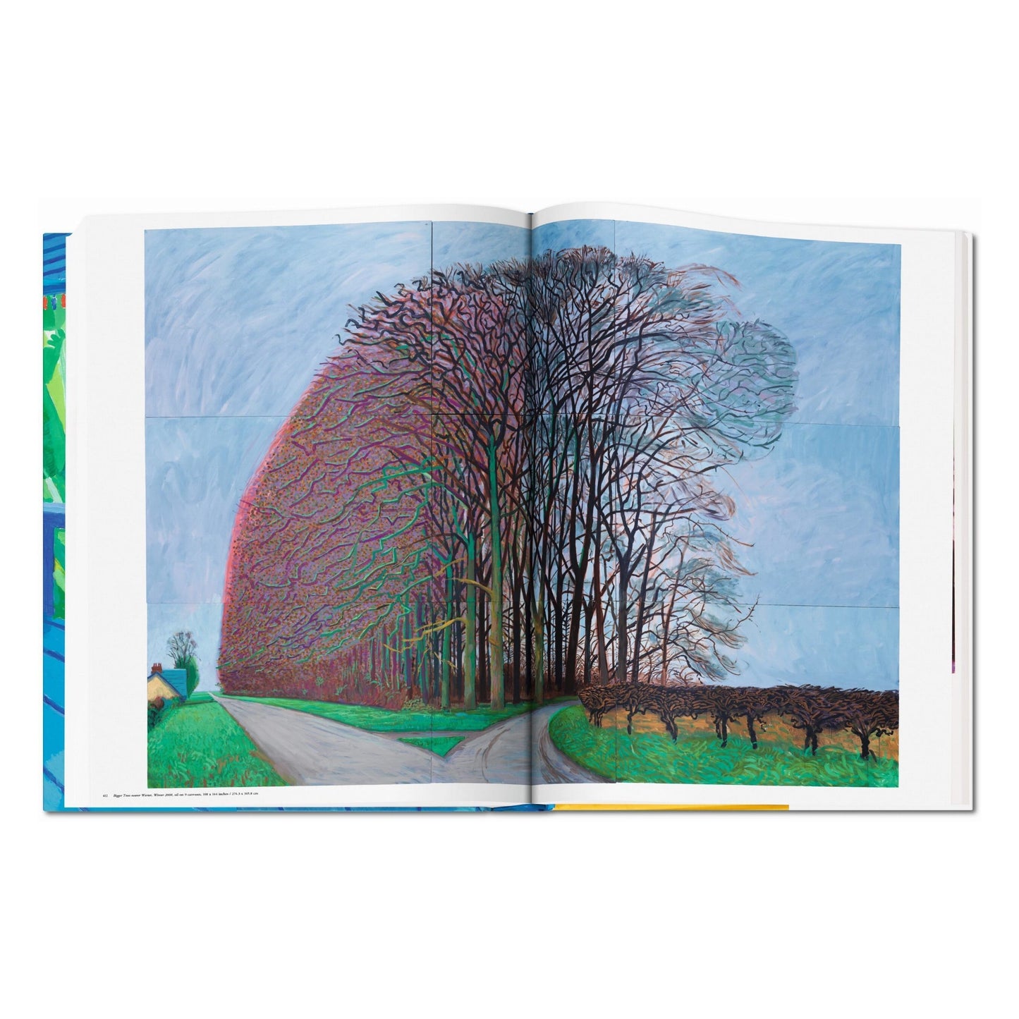 David Hockney. A Bigger Book (English)