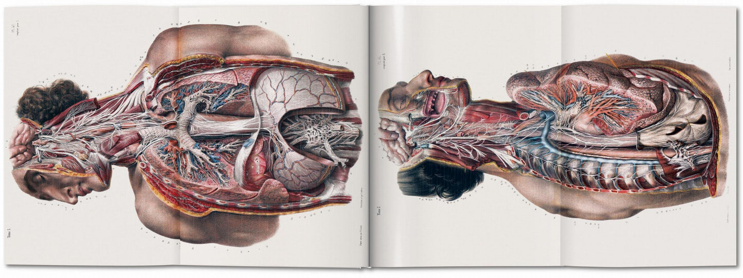 Bourgery. Atlas of Human Anatomy and Surgery (German, French, English)