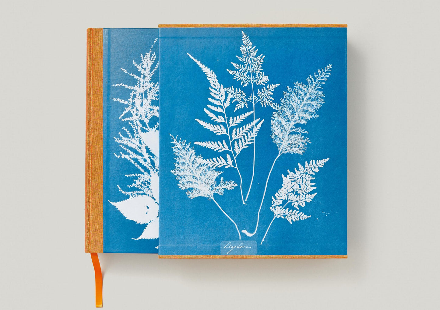 Anna Atkins. Cyanotypes (German, French, English)