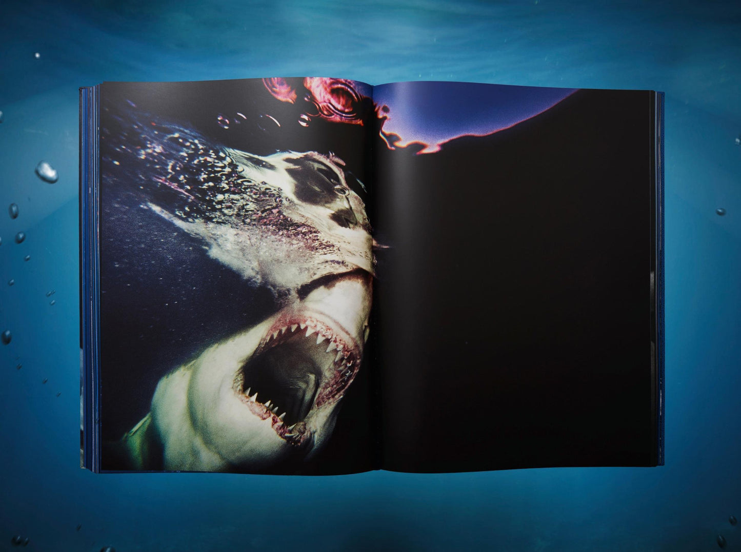 Michael Muller. Sharks, Art Edition No. 101–200 ‘Under Study’ (English)