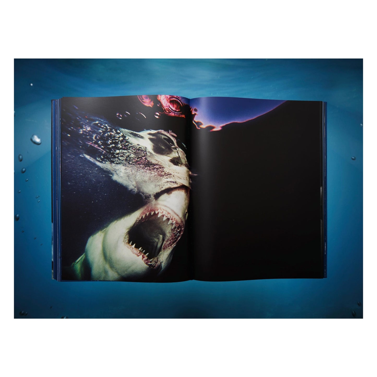 Michael Muller. Sharks, Art Edition No. 101–200 ‘Under Study’ (English)