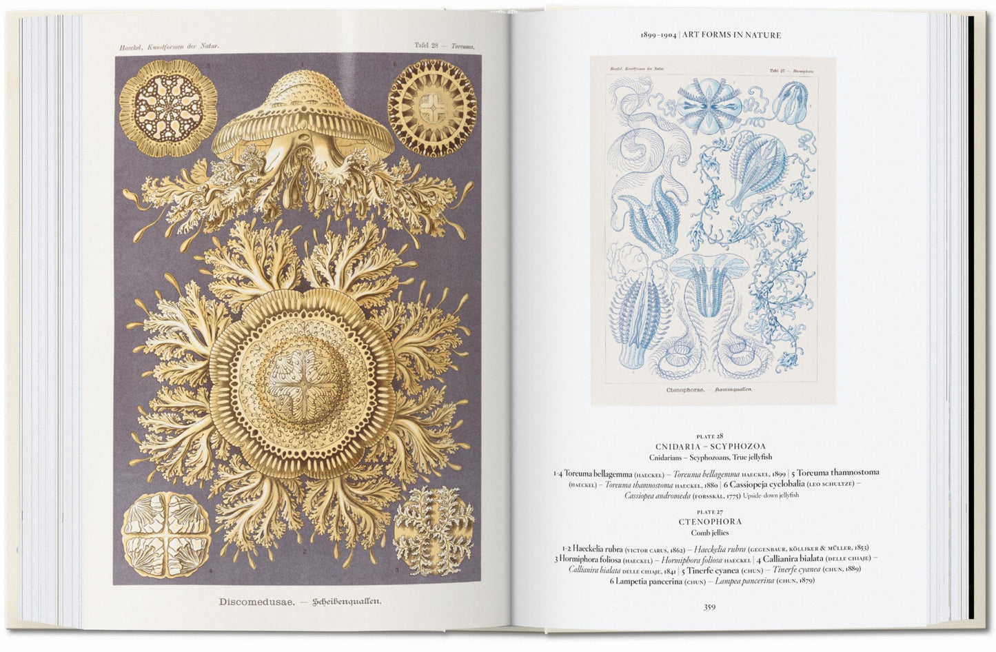 L’art et la science de Ernst Haeckel. 40th Ed. (French)