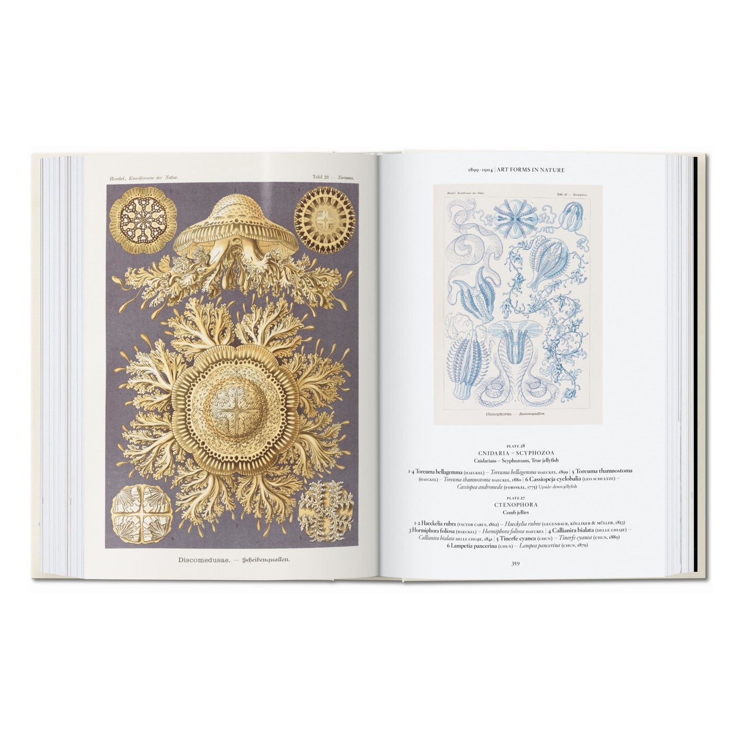 The Art and Science of Ernst Haeckel. 45th Ed. (English)