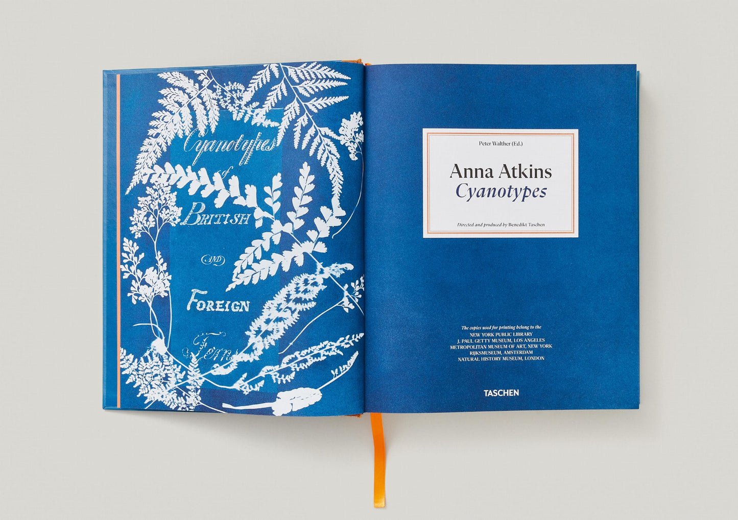 Anna Atkins. Cyanotypes (German, French, English)