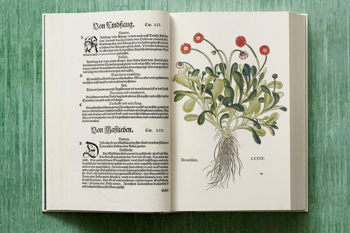 Leonhart Fuchs. The New Herbal (English)