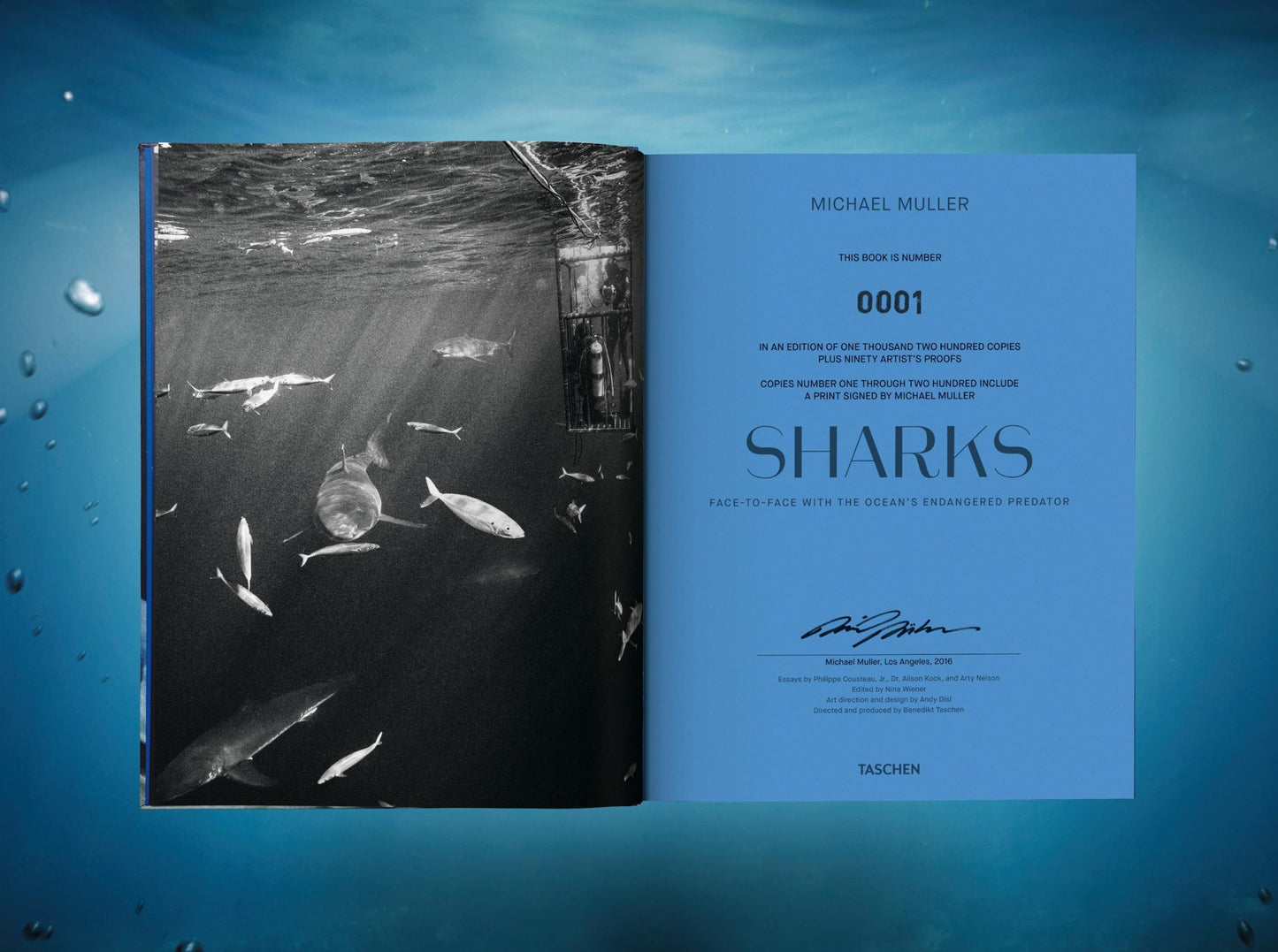 Michael Muller. Sharks, Art Edition No. 101–200 ‘Under Study’ (English) (AP)