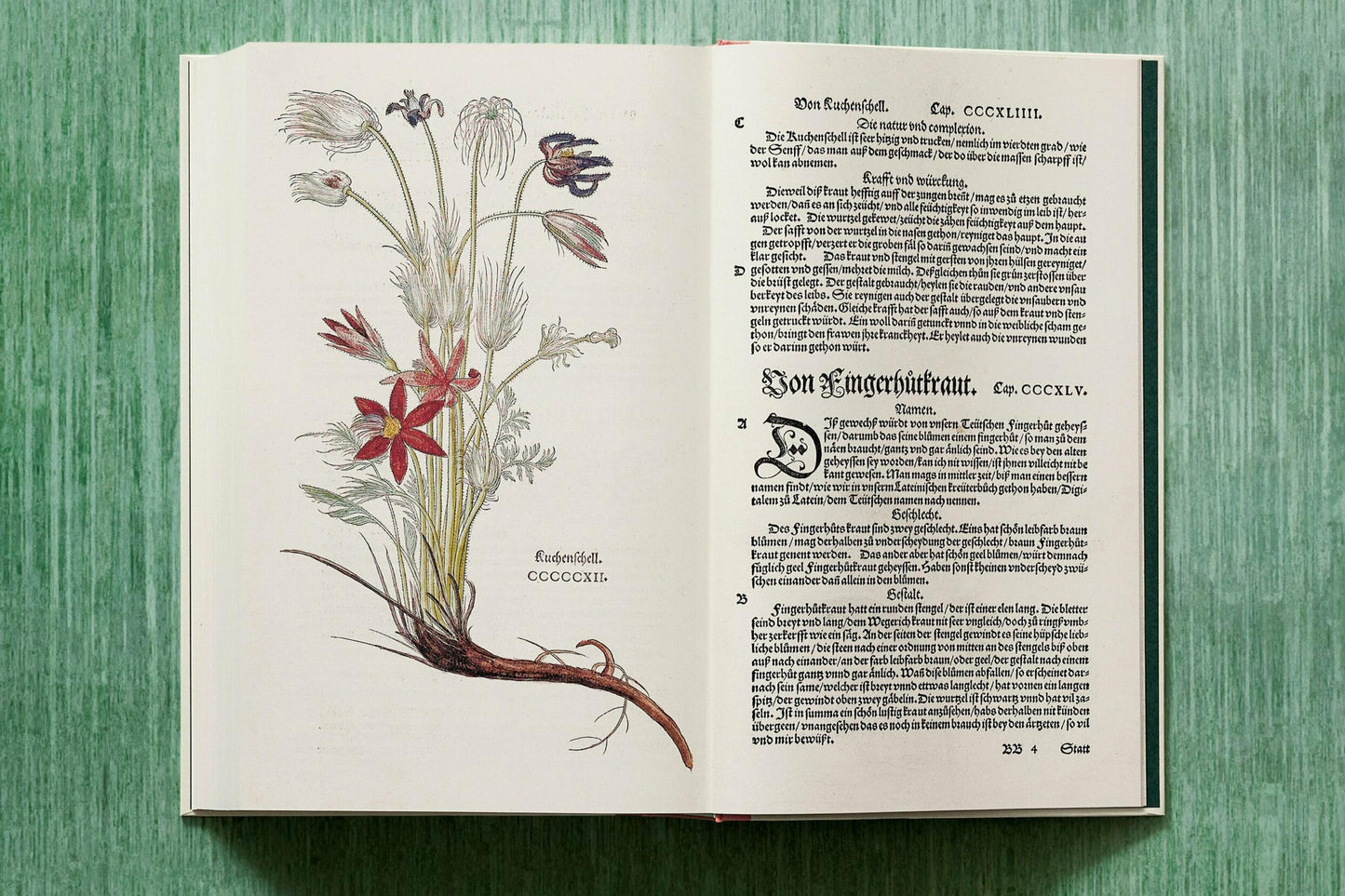 Leonhart Fuchs. The New Herbal (English)