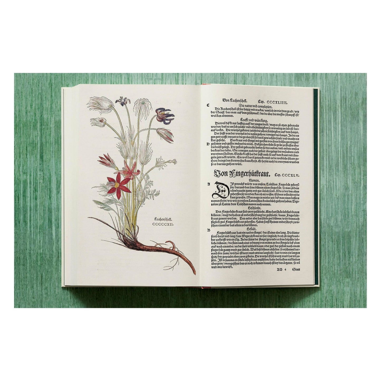 Leonhart Fuchs. The New Herbal (English)