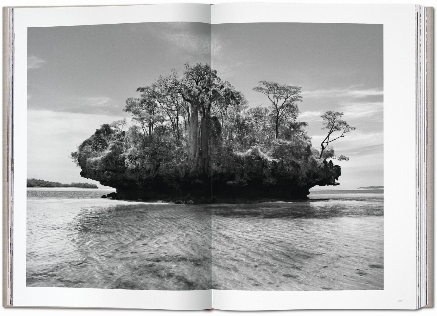 Sebastião Salgado. Genesis (English) (AP)