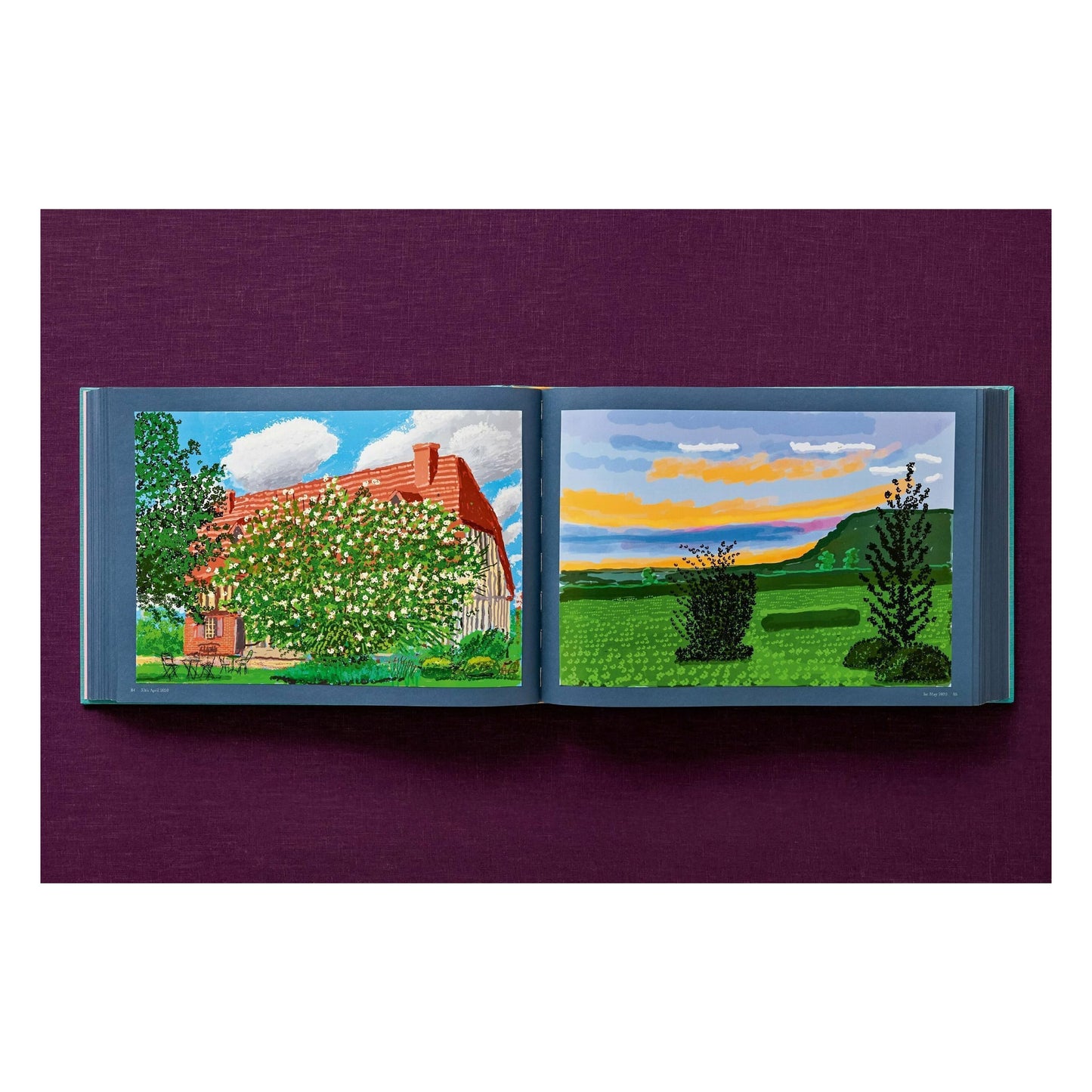David Hockney. 220 for 2020. Art Edition No. 201–300 ‘Two Chairs and Rain on Window’ (English) (AP)