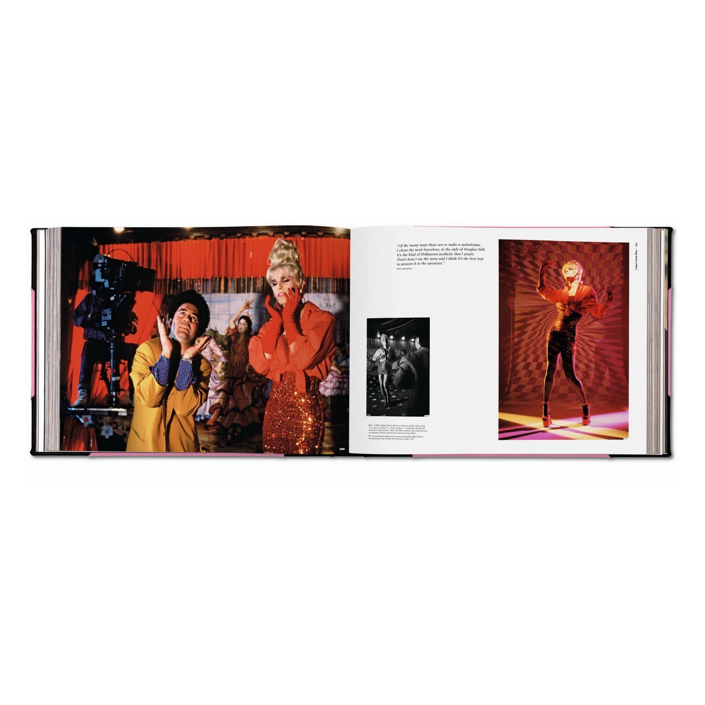 The Pedro Almodóvar Archives. Art Edition (English) (AP)