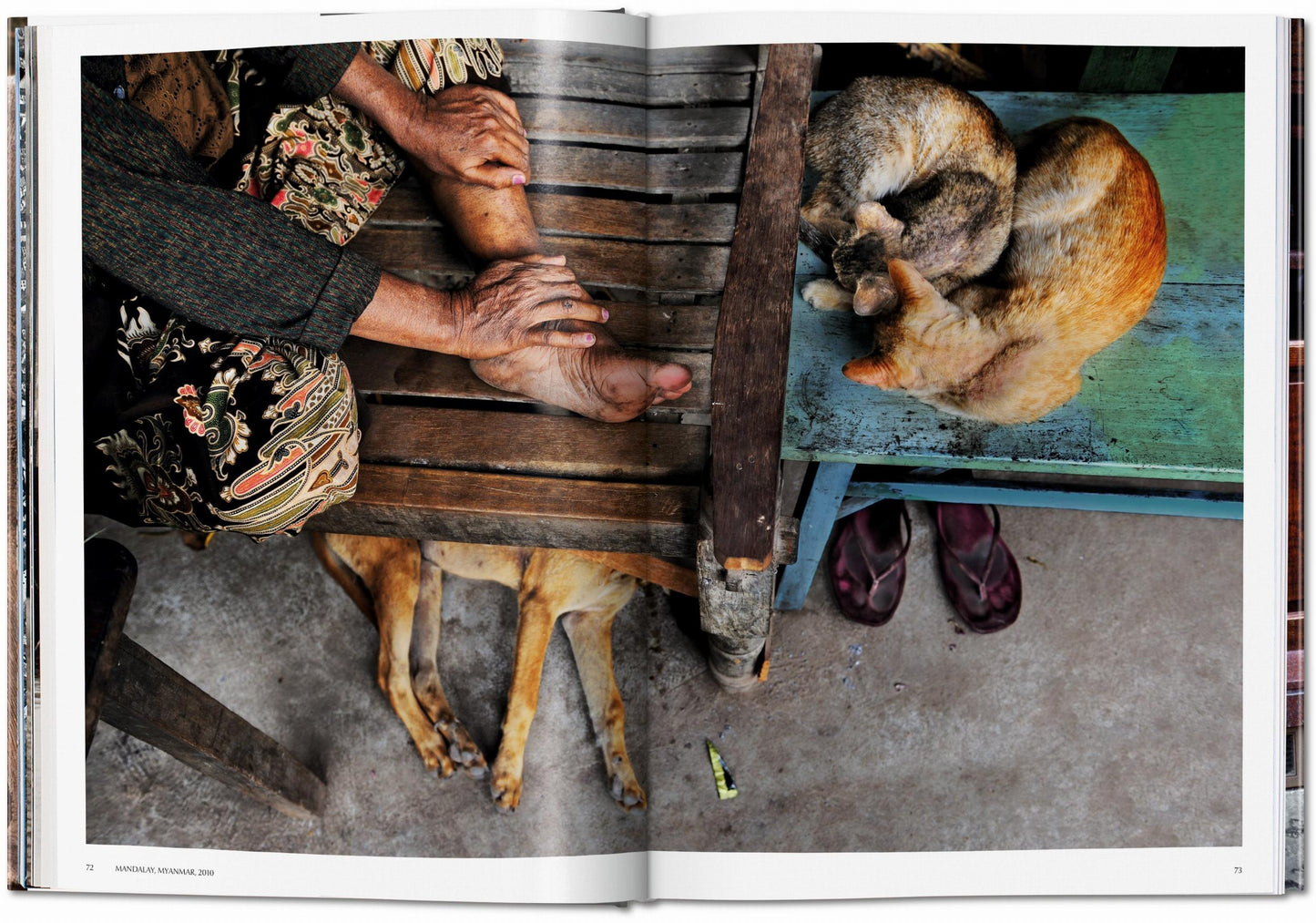 Steve McCurry. Animals (German, French, English)