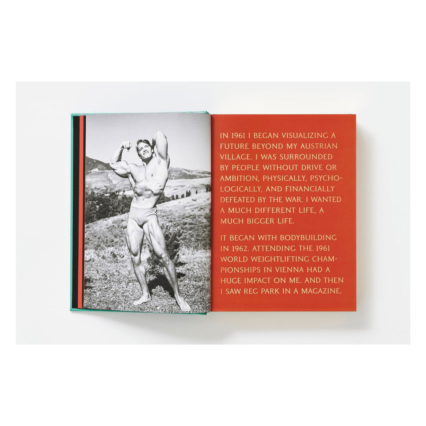 ARNOLD. Collector's Edition (English) (AP)