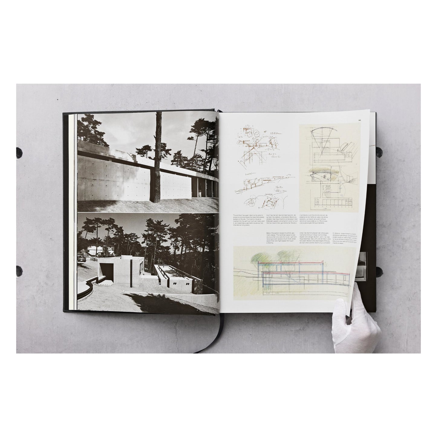 Ando. Complete Works 1975–Today. Art Edition (German, French, English) (AP)