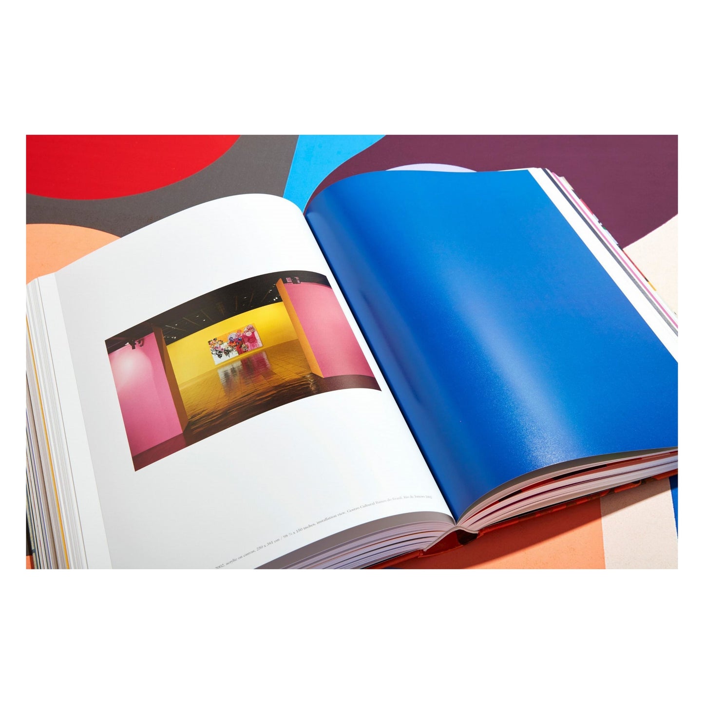 Beatriz Milhazes. Art Edition (German, French, English) (AP)