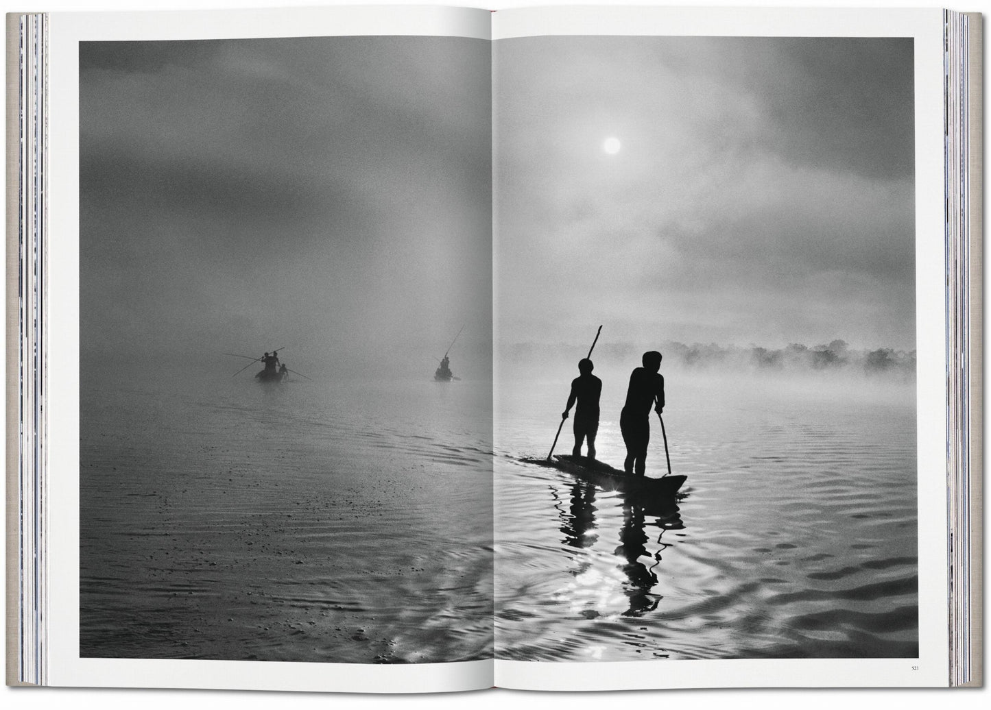 Sebastião Salgado. Genesis (English) (AP)