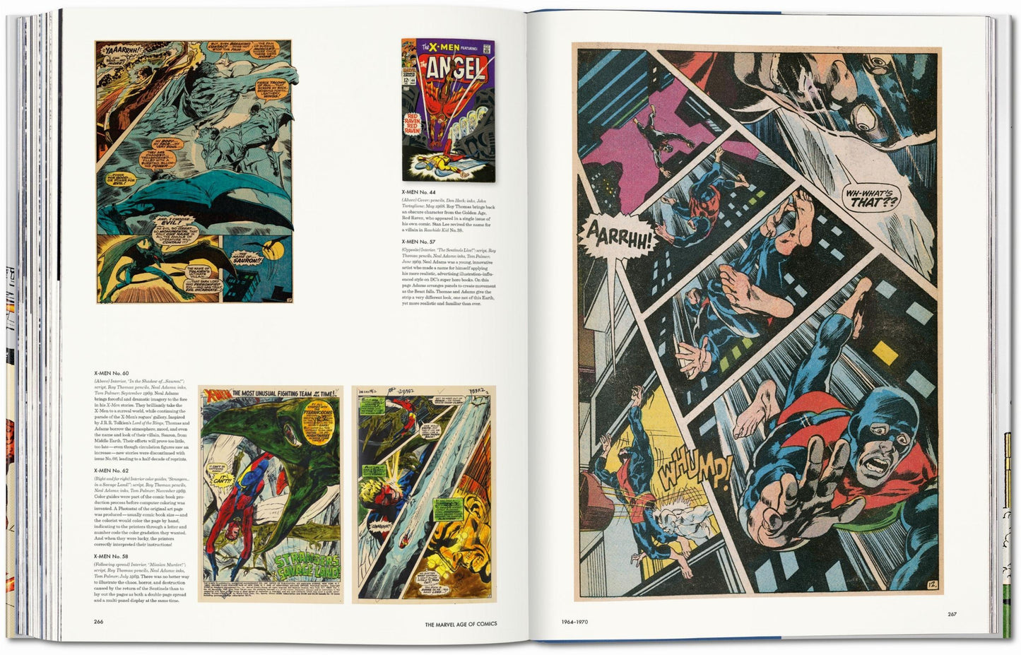 The Marvel Age of Comics 1961–1978 (English)