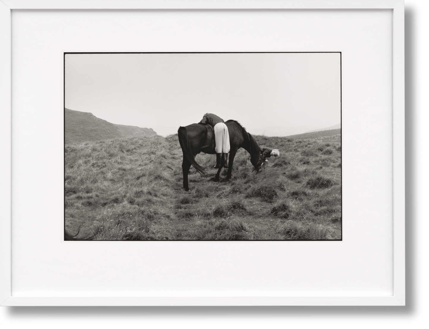 Linda McCartney. Life in Photographs, Art Edition No. 1–125 ‘Horse’ (English)