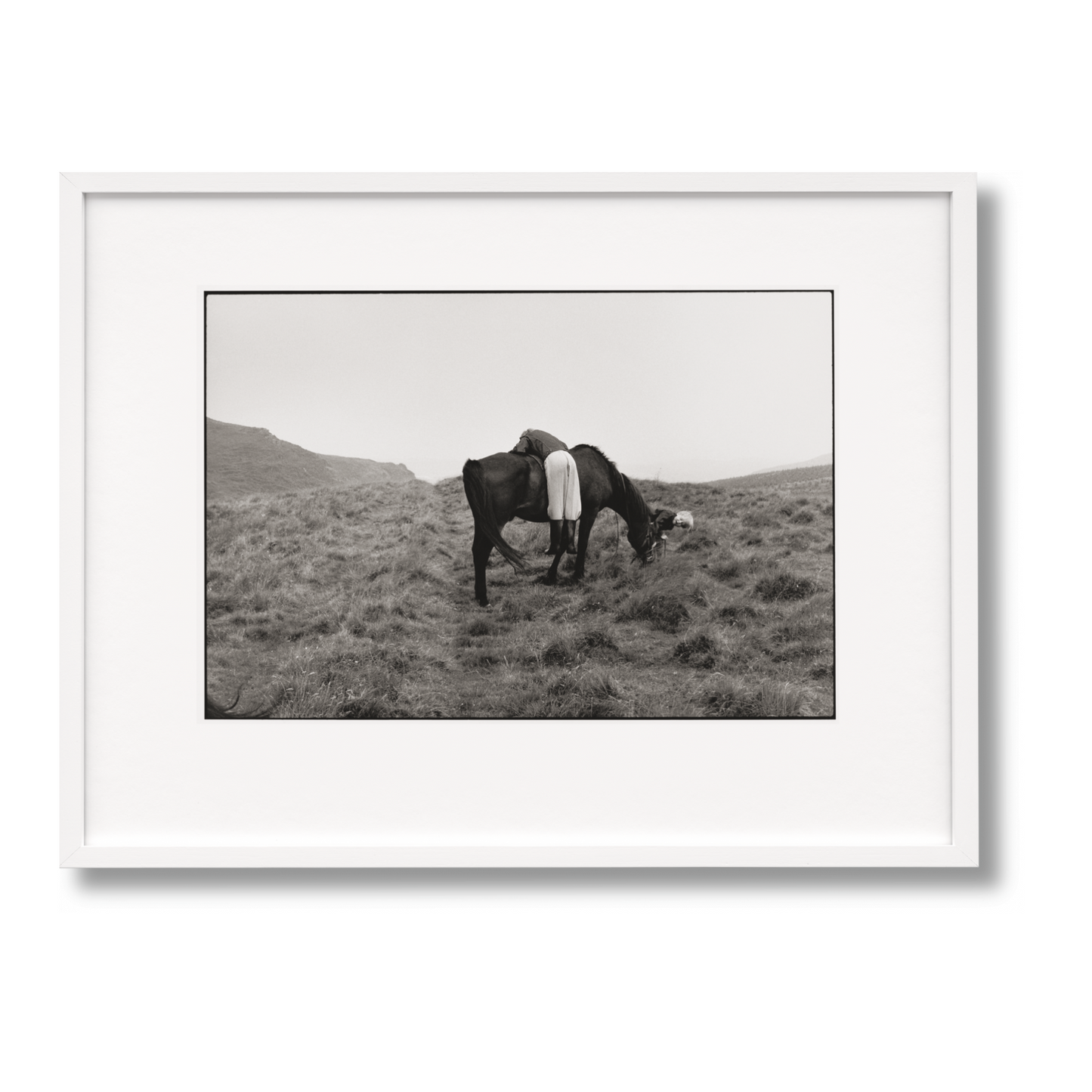 Linda McCartney. Life in Photographs, Art Edition No. 1–125 ‘Horse’ (English) (AP)