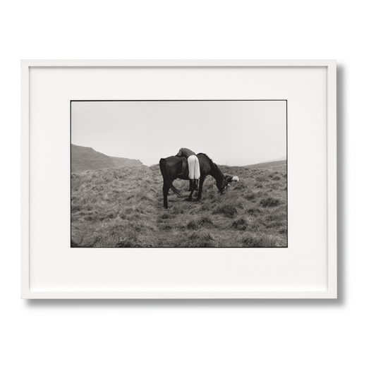 Linda McCartney. Life in Photographs, Art Edition No. 1–125 ‘Horse’ (English) (AP)