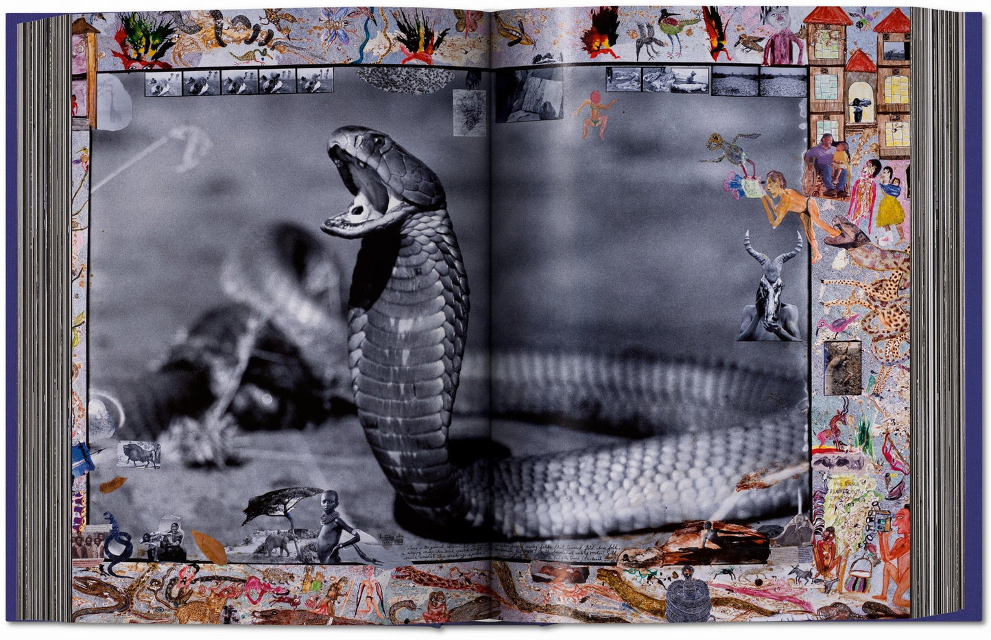 Peter Beard (German, French, English)