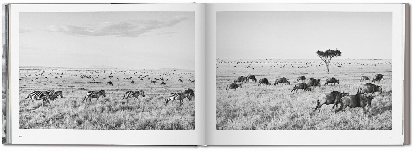 Sebastião Salgado. Africa (German, French, English)