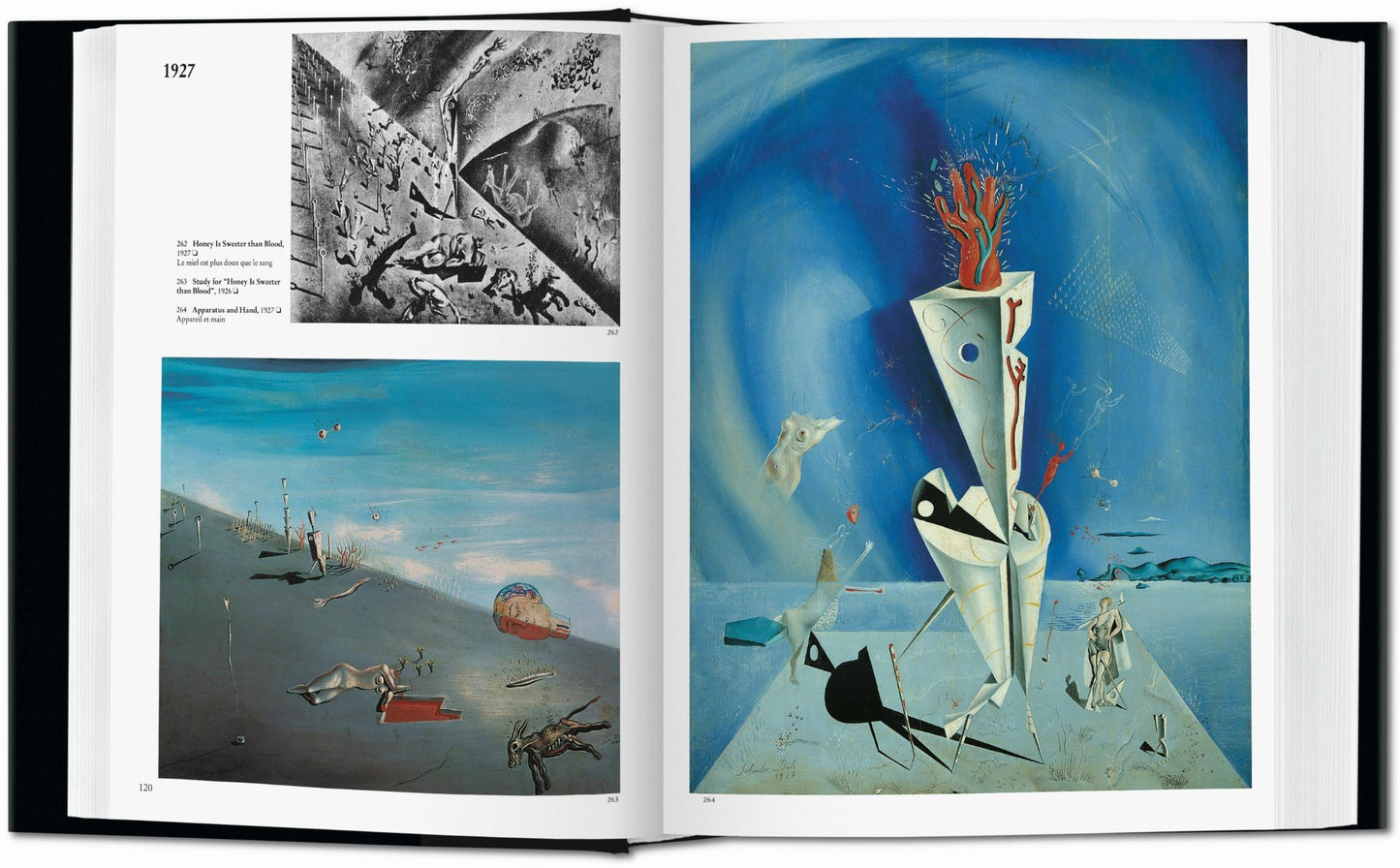 Dalí. L'œuvre peint (French)