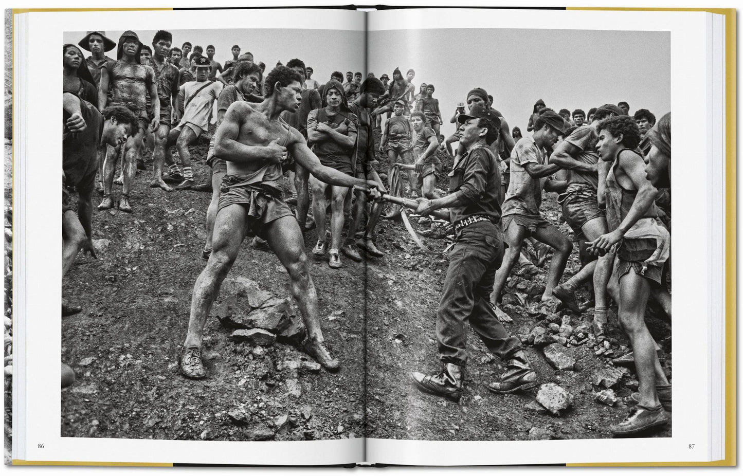 Sebastião Salgado. Gold (German, French, English)