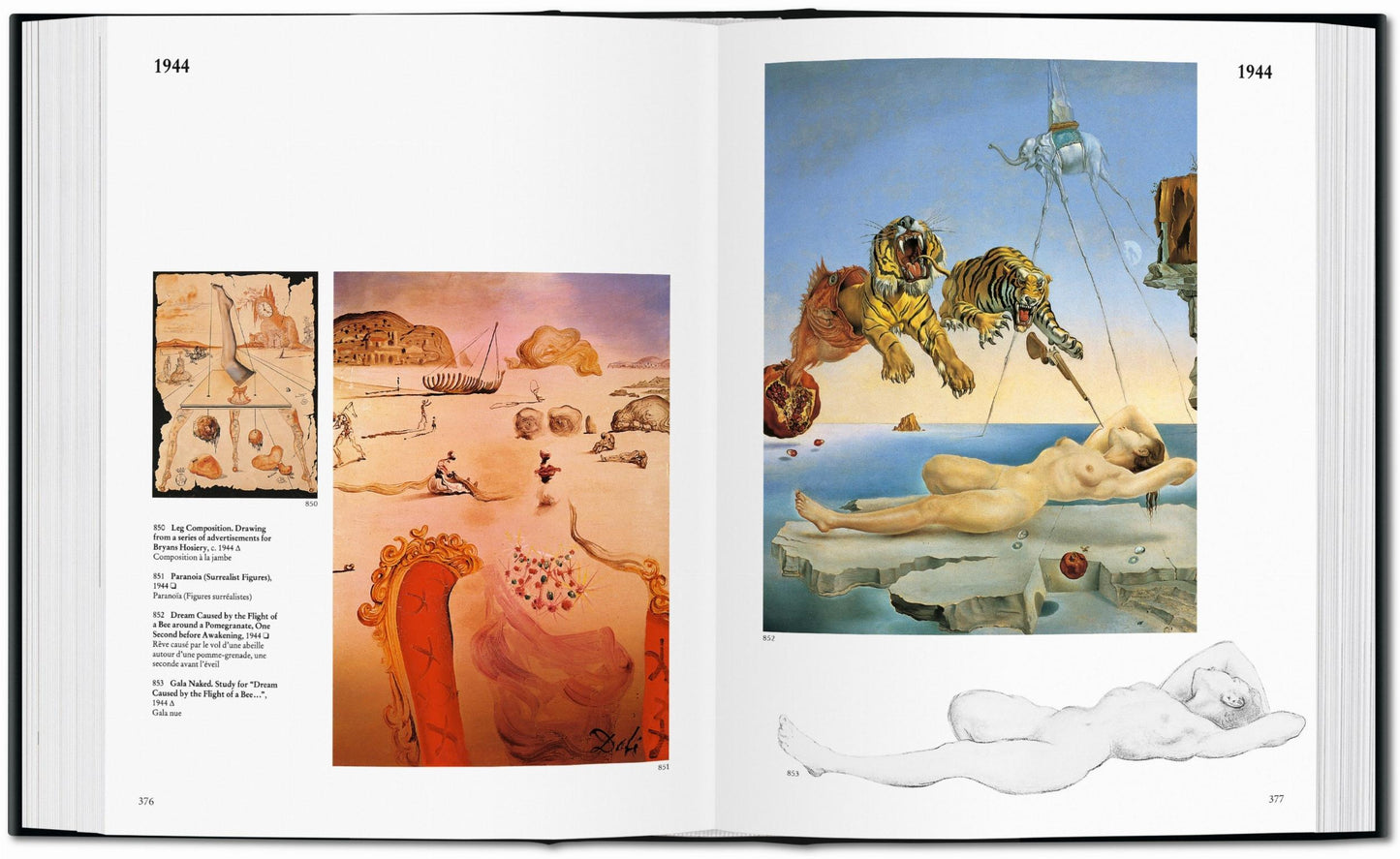 Dalí. L'œuvre peint (French)