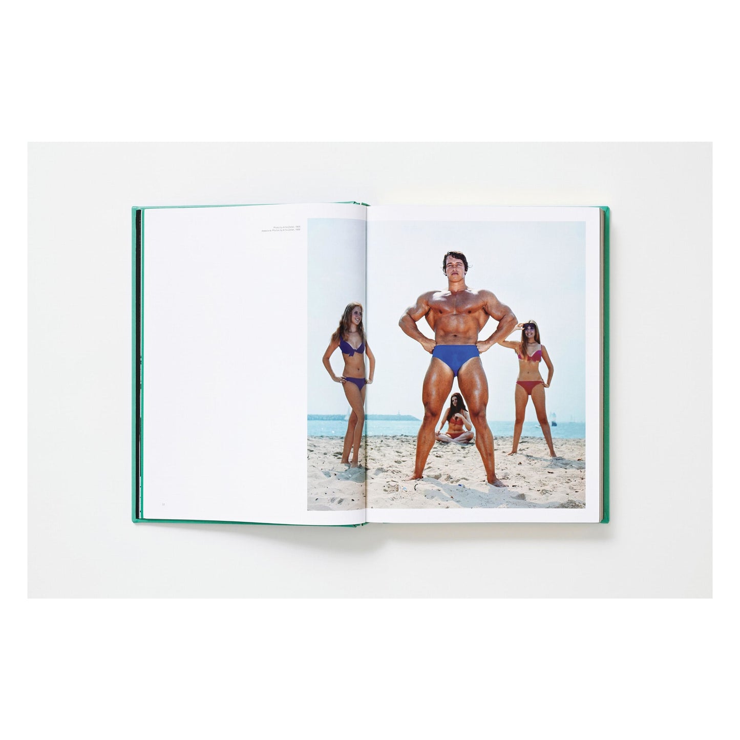 ARNOLD. Collector's Edition (English) (AP)
