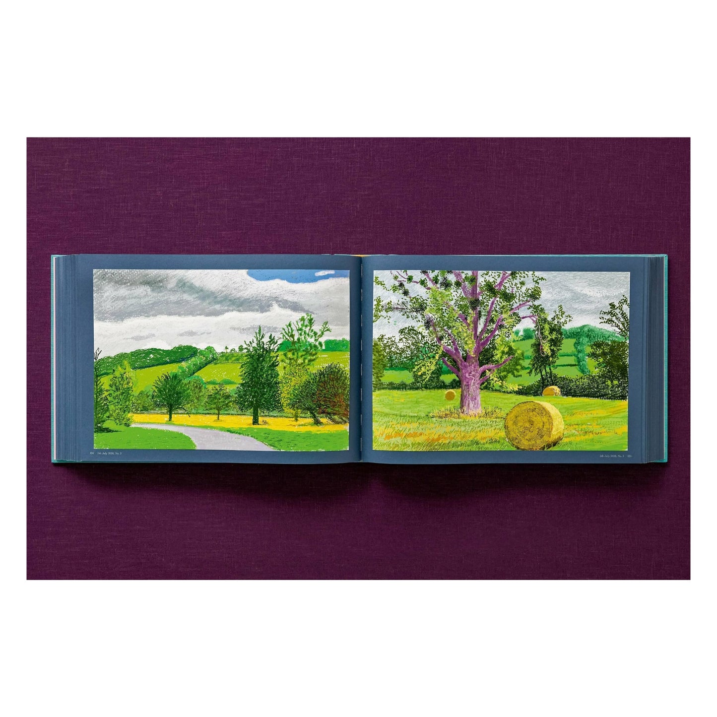 David Hockney. 220 for 2020. Art Edition No. 1–100 ‘Spilt Ink with Tests’ (English)