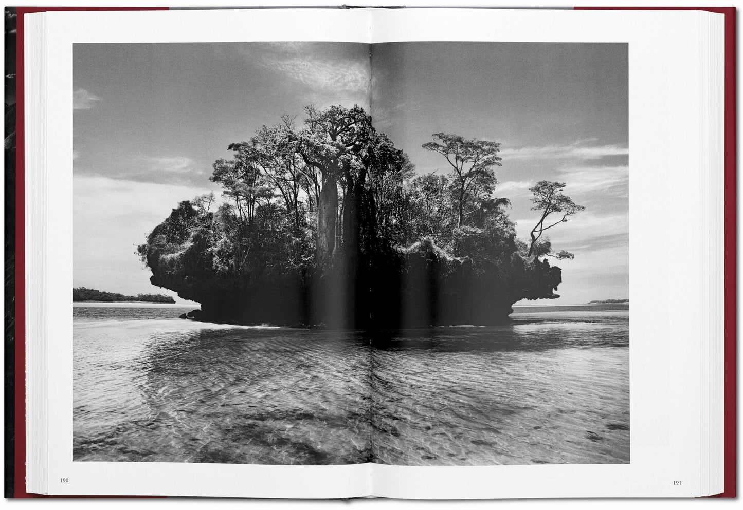 Sebastião Salgado. Genesis (English)