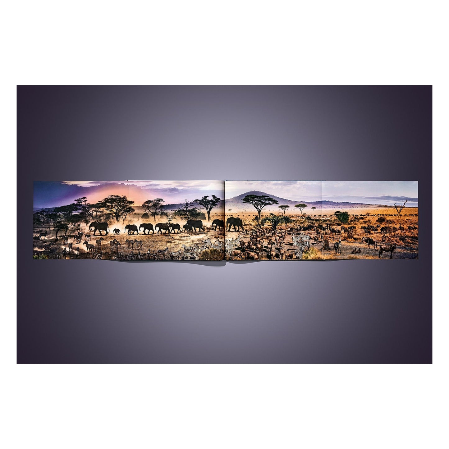 Stephen Wilkes. Day to Night. Art Edition B, 'Grand Canyon, Arizona, 2015' (German, French, English) (AP)
