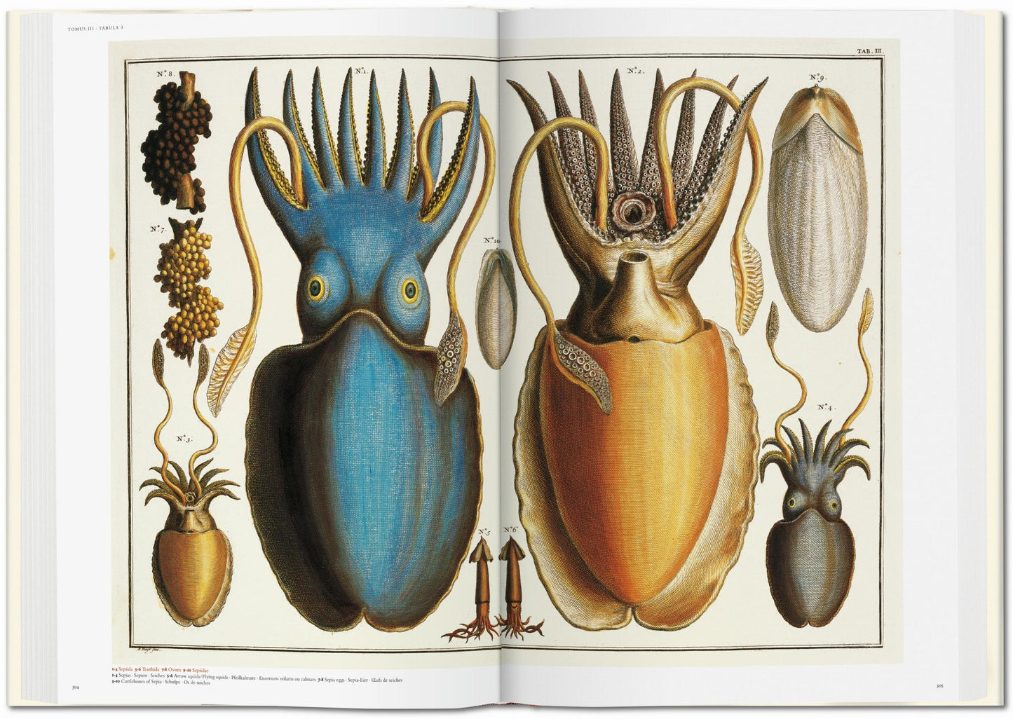 Seba. Cabinet of Natural Curiosities (German, French, English)