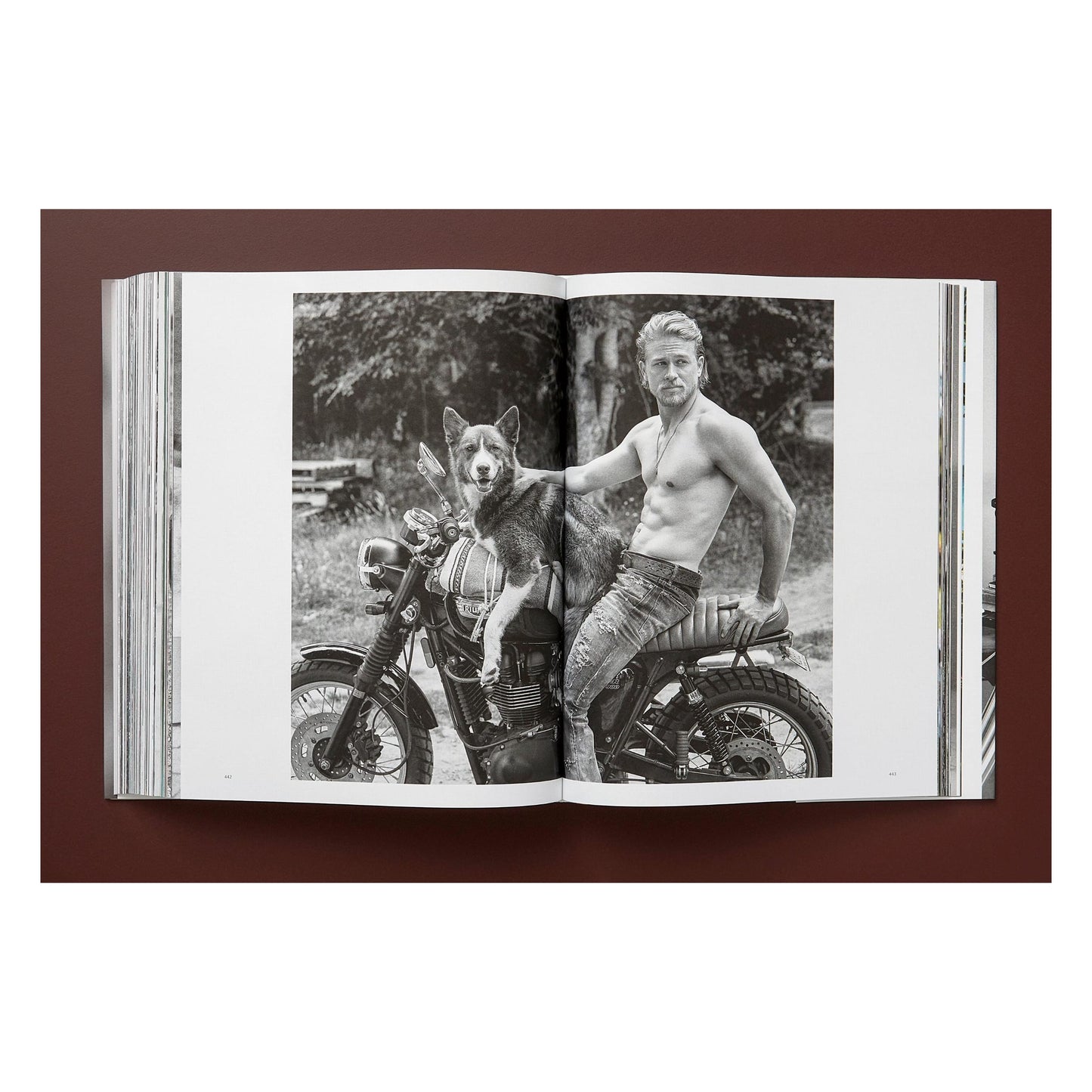 Bruce Weber. The Golden Retriever Photographic Society. Art Edition No. 101–200 ‘Hud, New York City, 2011’ (German, French, English) (AP)