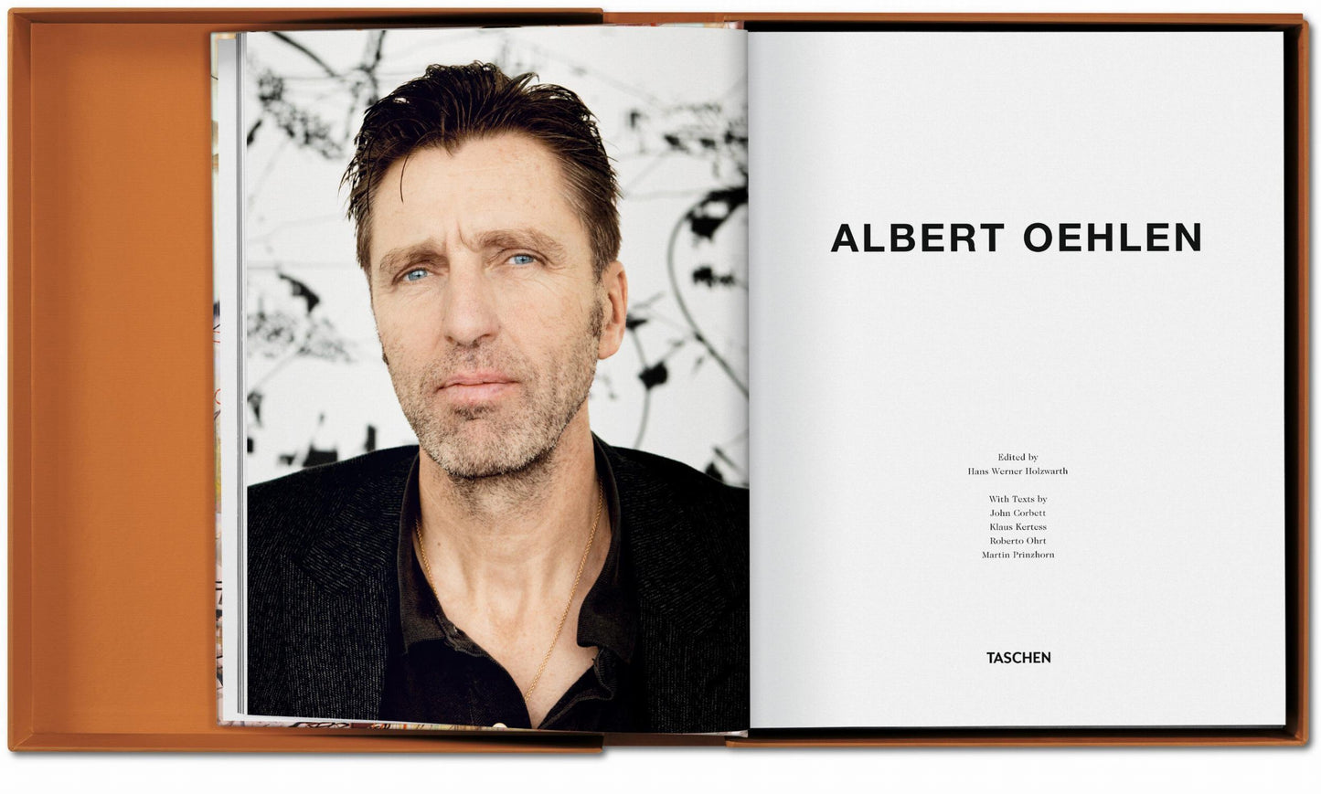 Albert Oehlen. Art Edition (German, French, English)