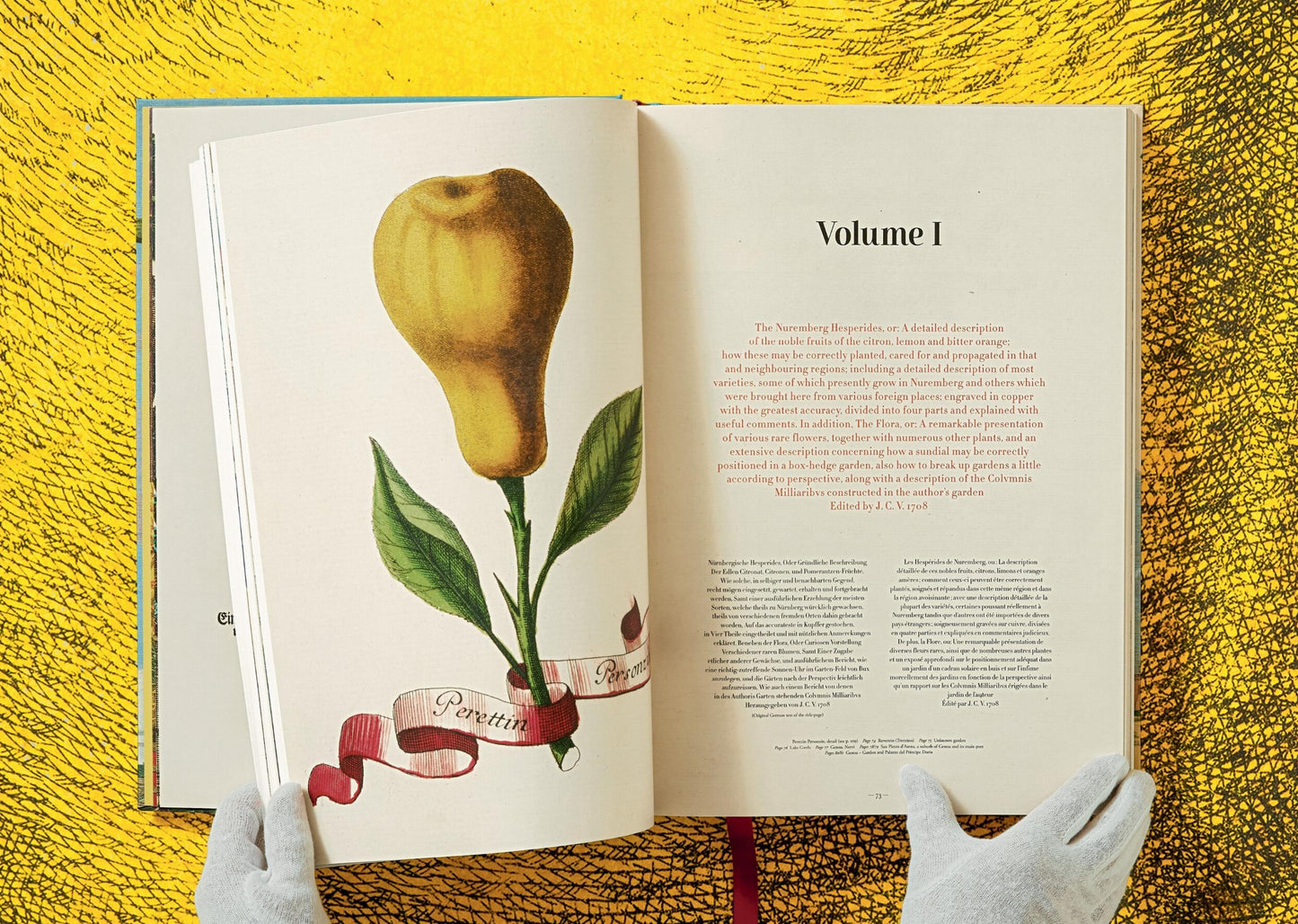 J. C. Volkamer. The Book of Citrus Fruits (German, French, English)