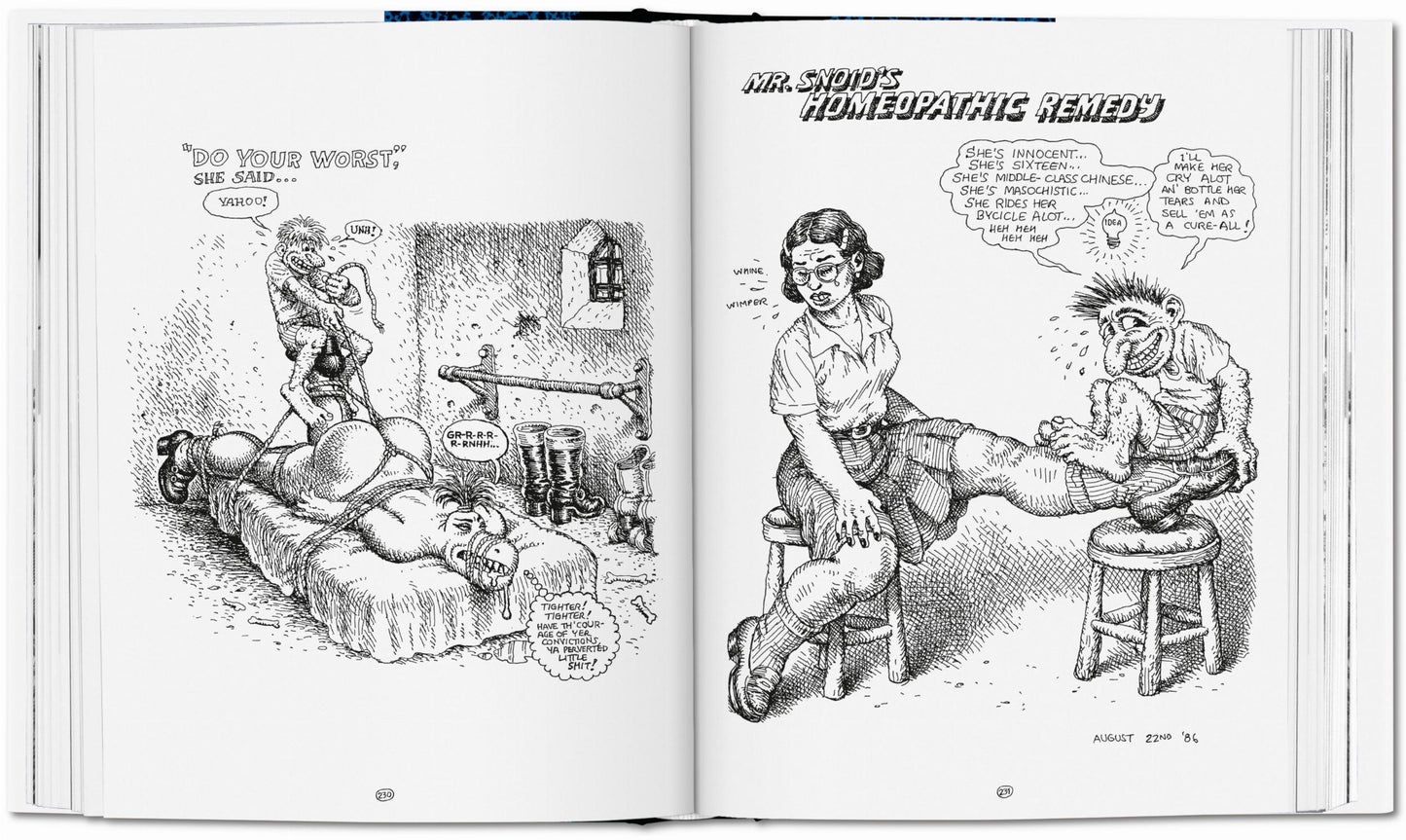 Robert Crumb. Sketchbook Vol. 4. 1982–1989 (English)